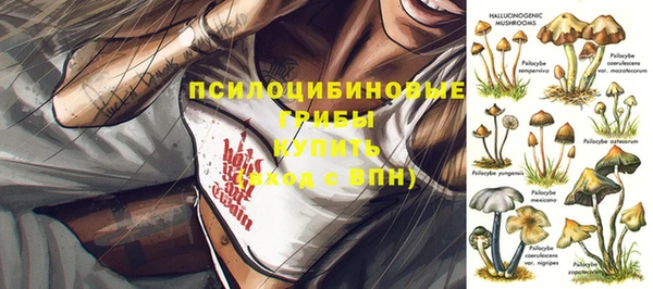 скорость Протвино