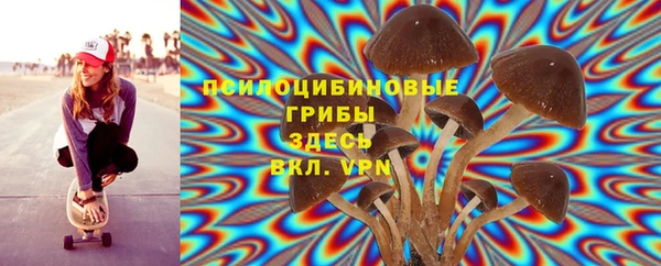 прущий лед Ветлуга
