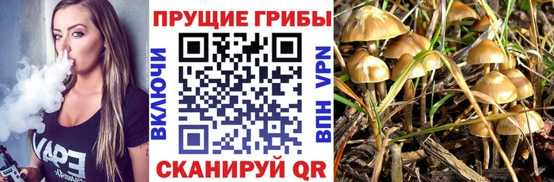 Псилоцибиновые грибы мухоморы Горячеводский