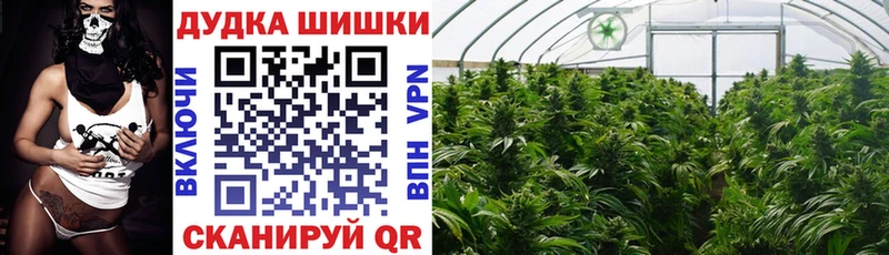 Шишки марихуана семена  Горячеводский 